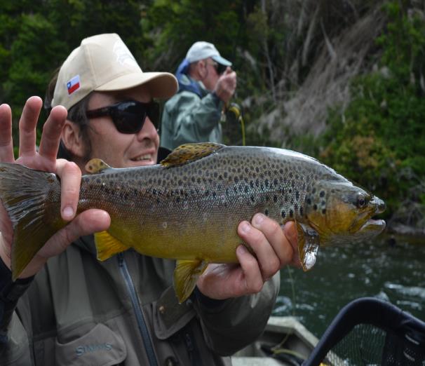 Big fish